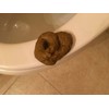 SummitLink Realistic Gross Party Pooper Fake Poo Dog Poop Novelty