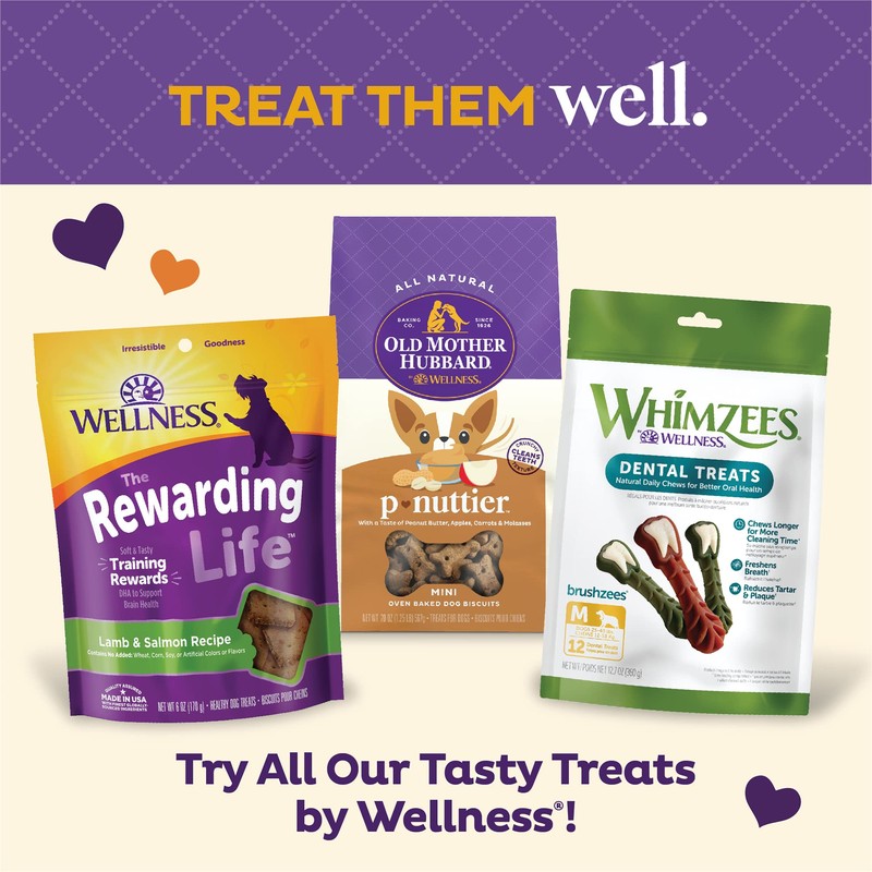 Old Mother Hubbard Wellness Training Bitz Assorted Mix Dog Biscuits,