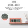 HuBDIC (HT-6) (temperature, humidity, date, day, alarm, snooze backlight), Thermometer,