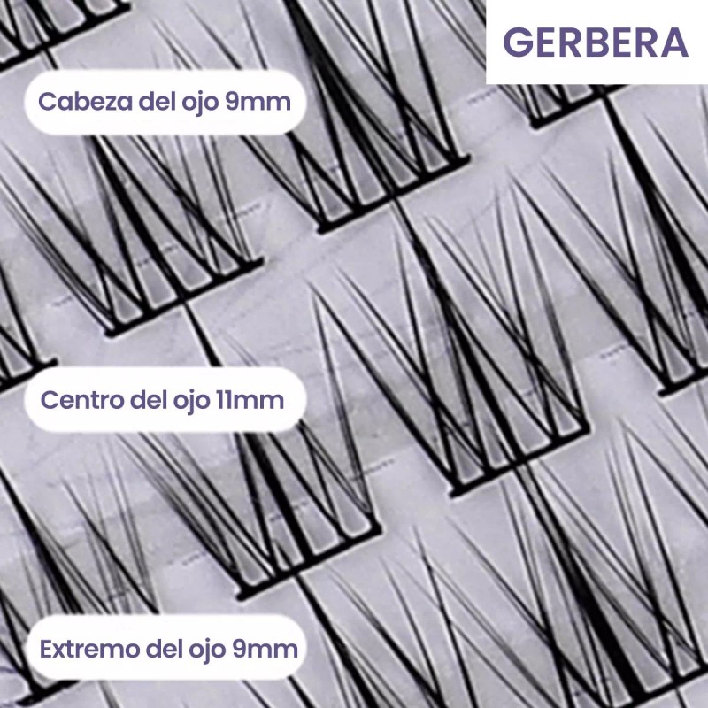 LEZAK Pestañas Postizas Naturales Segmentación Extensiones Lashes