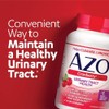 AZO 아조 크랜베리 추출물 무설탕 100정 3개, 100정, 3개 AZO