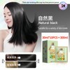 ✨1 Box 10Pcs✨ Natural Plant Bubble Hair Dye Bagged Herbal
