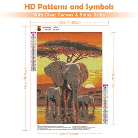 QENSPE Diamond Art Kits for Adults Elephants, DIY Diamond Painting Grassland, Round Full Drill, 5D Colourful Diamonds Dots Mosaic Painting, Crystal Gem Arts Craft for Home Wall Decor 30x40cm