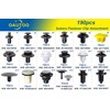 OAUTOO 190pcs for Subaru Body Interior and Exterior Retainer Fastener