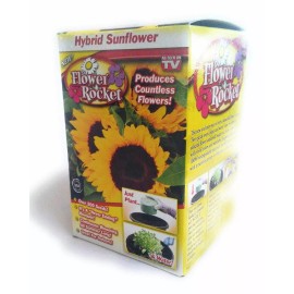 Flower Rocket AS SEEN ON TV Hybrid Sunflower Kit Over 200 Seeds