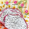 Dried White Dragon Fruit Slices Snacks - (Its Texture Is