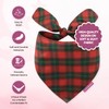 LunaMarie - Luxury Pet Birthday Bandanas -Premium & Silky Poly