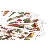 TS Spielkarten Schafkopf Cards Made of 100% Plastic (Plastic +)