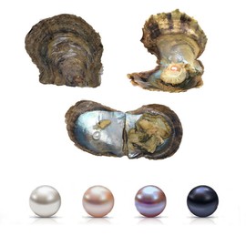 4PC Saltwater Love Wish Akoya Pearl Oyster with Pearls Inside (6-8mm, 4PC)