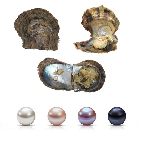 4PC Saltwater Love Wish Akoya Pearl Oyster with Pearls Inside