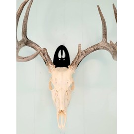 The Taxidermists' Woodshop Deer Track European Mount Skull Hanger - Quick and Easy Display for Antlers