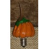 On The Bright Side - Scented Specialty Bulb - Pumpkin