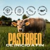 Calostro Bovino Libre Pastoreo 1st Milk Colostrum Inmunoglobulinas Yeke