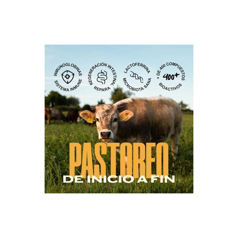 Calostro Bovino Libre Pastoreo 1st Milk Colostrum Inmunoglobulinas Yeke