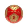 Liverpool FC Signature Skill Ball (One Size) (Red/Gold)