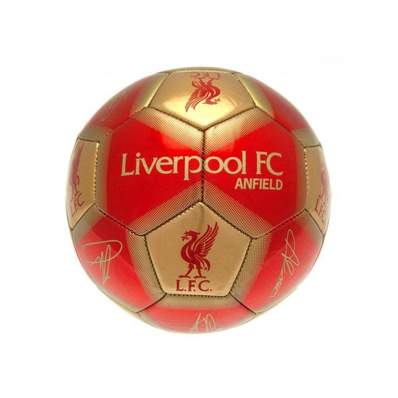 Liverpool FC Signature Skill Ball (One Size) (Red/Gold)