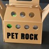Pet Rock- 3d printed