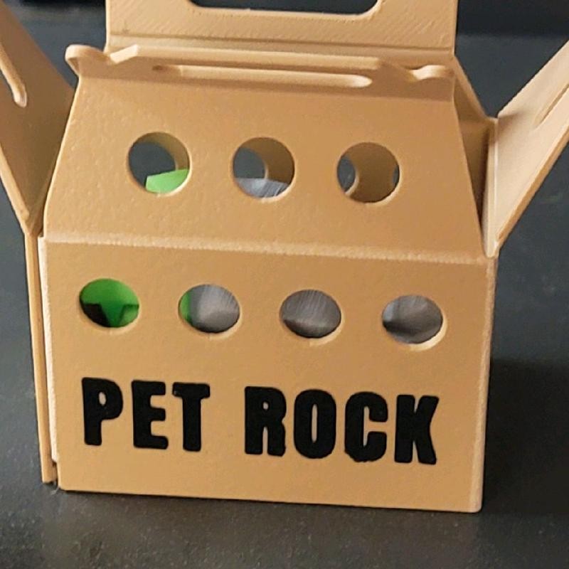 Pet Rock- 3d printed