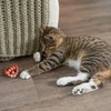 Catstages Plaque Away Pretzel Cat Toy – Interactive Catnip Dental