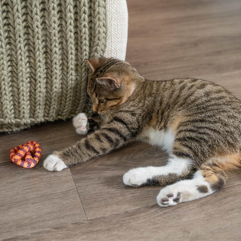 Catstages Plaque Away Pretzel Cat Toy – Interactive Catnip Dental