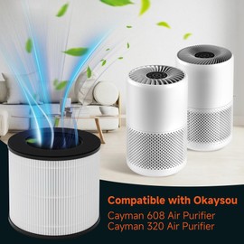 XBWW Cayman 608 320 Replacement Filter Compatible with Okaysou Cayman 608, Cayman 320 Air Cleaner Purifier, 3-in-1 Filter of True HEPA, Activated Carbon and Fine Pre-Filter, 2 Packs