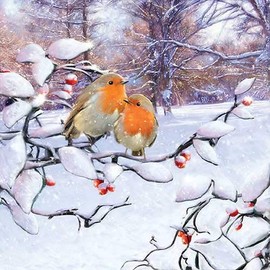 Napkin Robin Couple in Winter Pack of 20