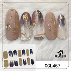 COLORBIRD Nail Stickers Autumn/Winter B Easy-to-Apply Manicure Cute Flower Sheer Foil Pearl Parts (CCL457 CCL458 CCL459 CCL460)
