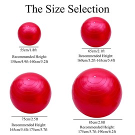 Silver Anti Burst Exercise Ball with Pump Non-slip Balance Ball Gym Accessories for Fitness, Yoga, Pilates, Training, Sports(75 cm)