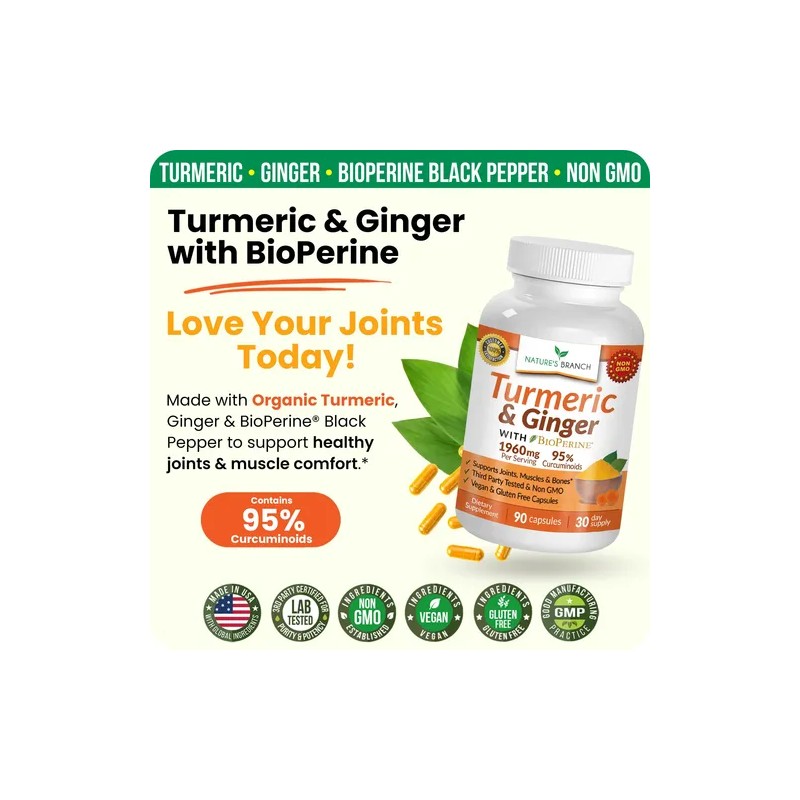 Nature's Branch Suplemento Cúrcuma Jengibre 90 Cápsulas