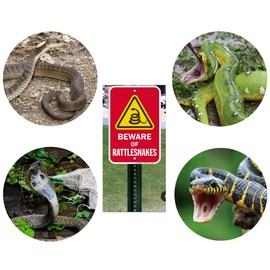 V-CHEETONG Snake Capture Net with Telescopic Handle, Tools for Handling Snakes and Reptiles Removing and Catching Place Snakes Into The Net Bag (29.5"-Snake Tong and Snake Net（Both）)