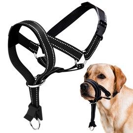 Dog Muzzle with Neoprene Padding, Adjustable, Breathable & Reflective for Small, Medium and Large Dogs, Toxic Bait Protection, Anti-Pull Function (Black, M)