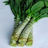 Lettuce Seeds - Summer 38 Celtuce - 2 g Packet
