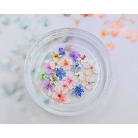 Bouquet flower (gradient) 20 pieces, 1 set, 1 piece / 부케 플라워(그라데이션) 20개입, 1세트, 1개