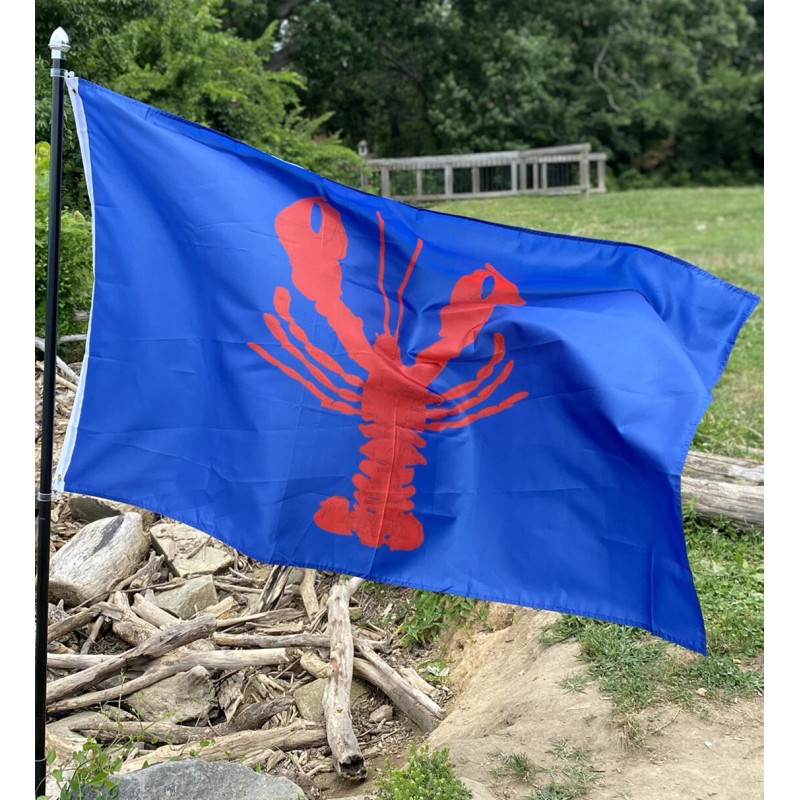 Hoisterly Flags 3 X 5 Nautical Lobster new Fade Resistant
