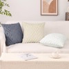 Pallene Soft Faux Fur Throw Pillow Covers 18x18 Set of