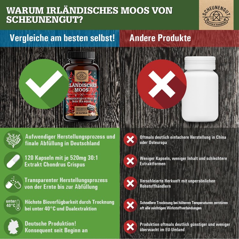 Seemoos aus isländischem Moos roter Seetang Sea moss