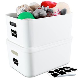 Citylife 2 Packs Plastic Storage Bins with Lids Large Storage Box with Handle Stackable Containers for Organizing, 14.33 x 10.16 x 6.3 inch