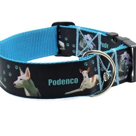 Halsband "Podenco" Größe SM bis 40 cm Halsumfang