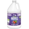 Bloom City's Organic Berry Best - Blueberry & Strawberry Fertilizer