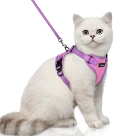rabbitgoo Cat Harness and Leash Set, Escape Proof Soft Adjustable Vest Harnesses for Outdoor Walking, Easy Control Breathable Kitten Jacket with Reflective Strips, Pink & Purple, XS