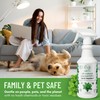 Minty Spider Repellent, Natural 5% Peppermint Oil Spray, Kills &