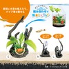 Gex GEX Healing Water Scenery Bottlewood, Large, For Small Aquariums,