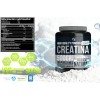 Holix Lab Creatina Monohidratada 500g Creapure Creatine Monohydrate, 100 Servings