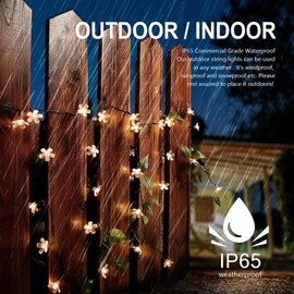 HEYFUNi 2 Pack Flower Solar String Lights, 50 LED 21ft Solar Fairy Lights Outdoor Waterproof，8 Modes Warm White Cherry Blossom Lights for Tree Patio Indoor Garden Room Holiday Decoration