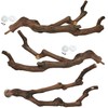 kathson Natural Parrot Perch Bird Stand Pole Wild Grape Stick