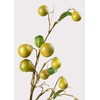 Afloral Faux Pear Fruit Branch - 39"