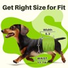 Pet Soft Dog Diapers Male Reusable, 5 Pack Belly Bands