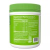 Vital Proteins Daily Greens Probiotic & Digestive Support, Green Apple,