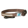 Avery Sporting Dog Lighted Collar | Marsh Brown | Small