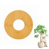 Medonala Bamboo Plant Pot Cover，Indoor Plant Protector from Animals,Flowerpot Decorative